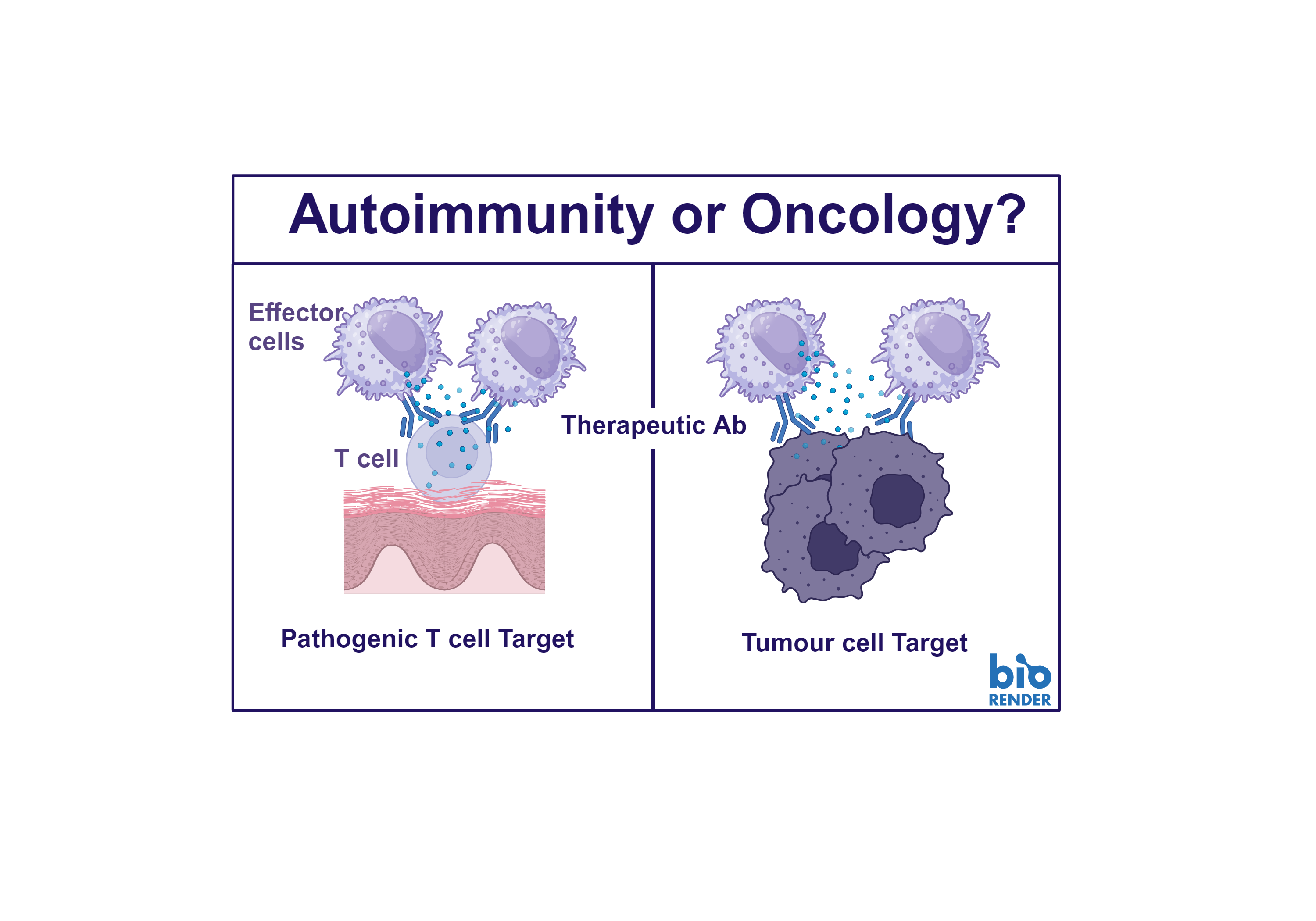 Are you fully exploring the potential of NK mediated therapeutics?